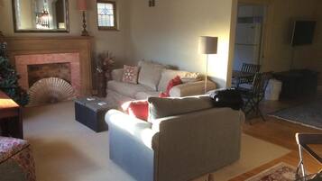 Smart TV, fireplace, books