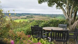 A table and chairs set under a tree with a view of rolling hills.