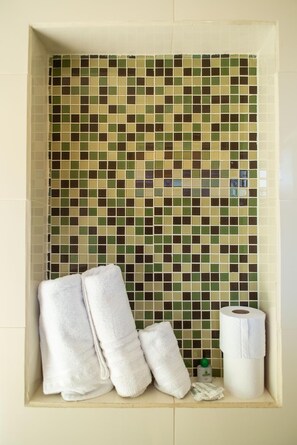 Ducha, cabezal de ducha con hidromasaje, secador de pelo, toallas