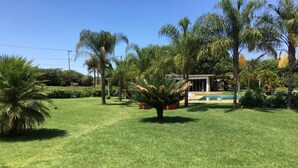 A well-maintained lawn with a palm tree, a pool, and a building in the background. - Parque Hotel Holambra (Holambra)