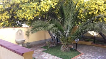A courtyard with a palm tree, a fountain, and a tiled patio.