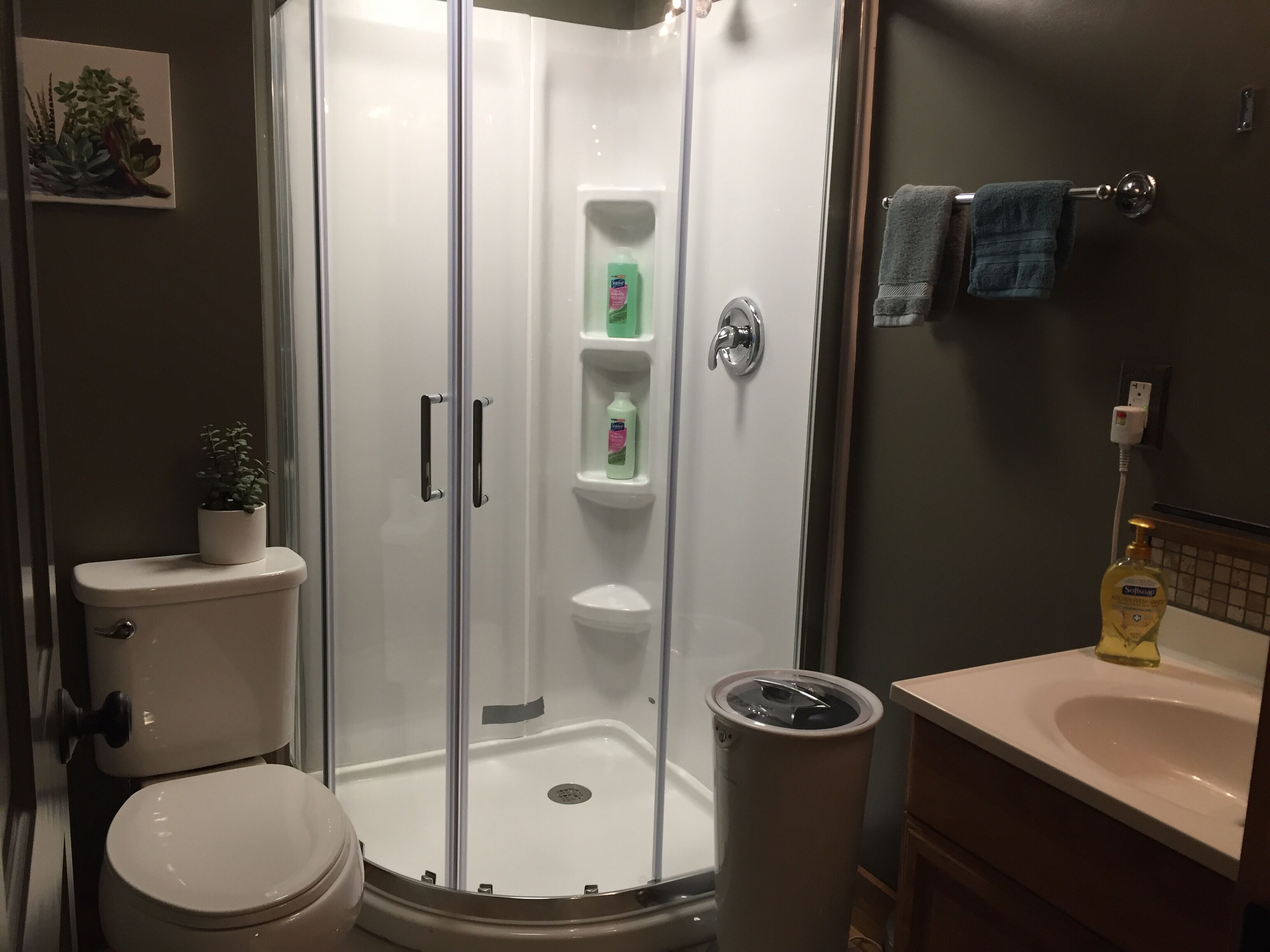 Shower, hair dryer, towels, shampoo