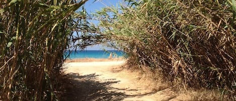 Una spiaggia nelle vicinanze, teli da spiaggia