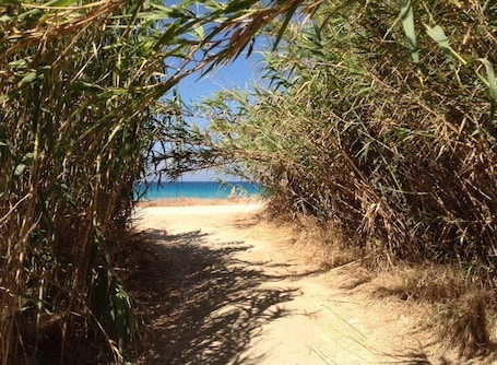 Beach nearby, beach towels