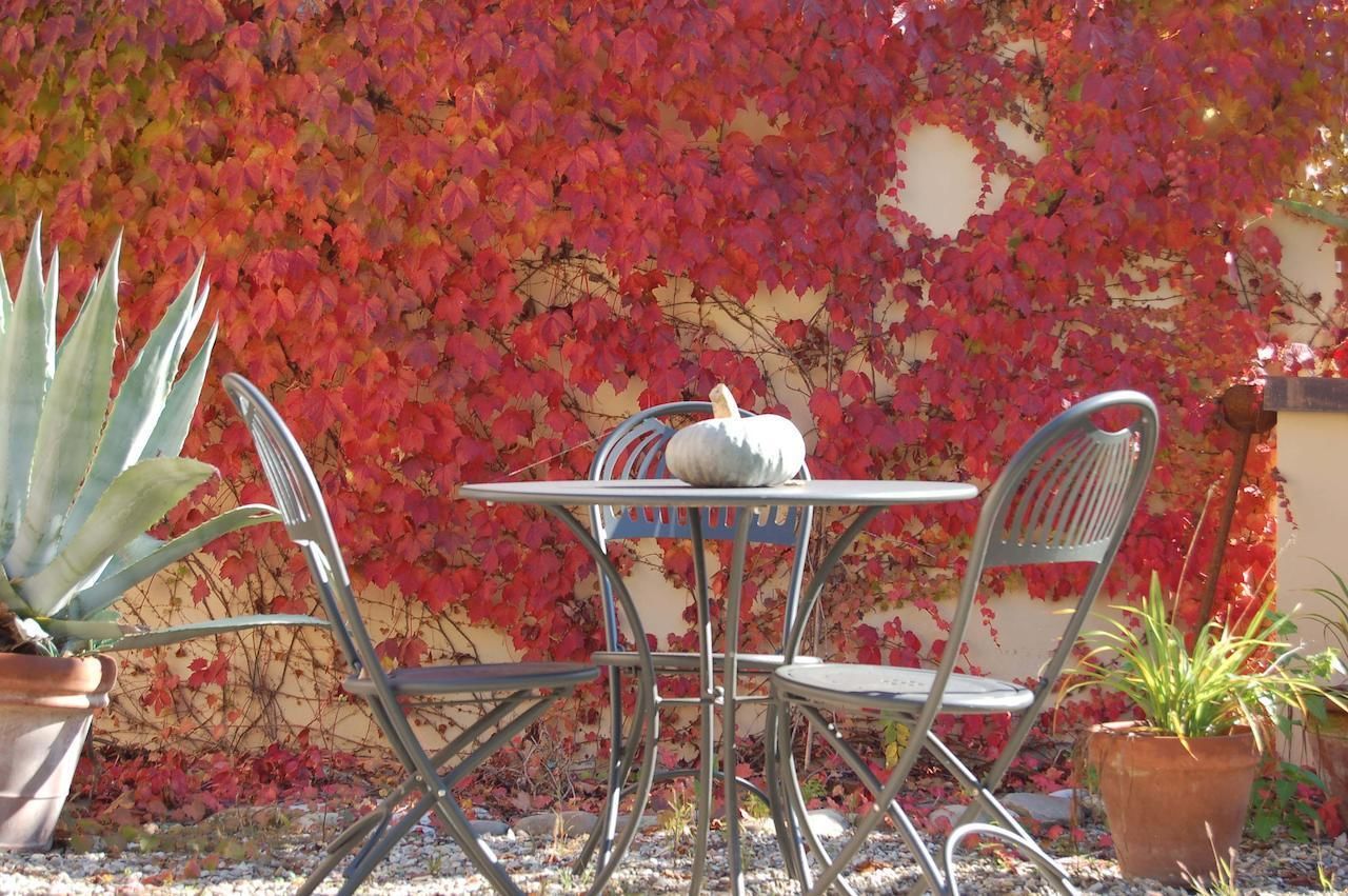 Una mesa y sillas frente a una pared cubierta de follaje rojo.