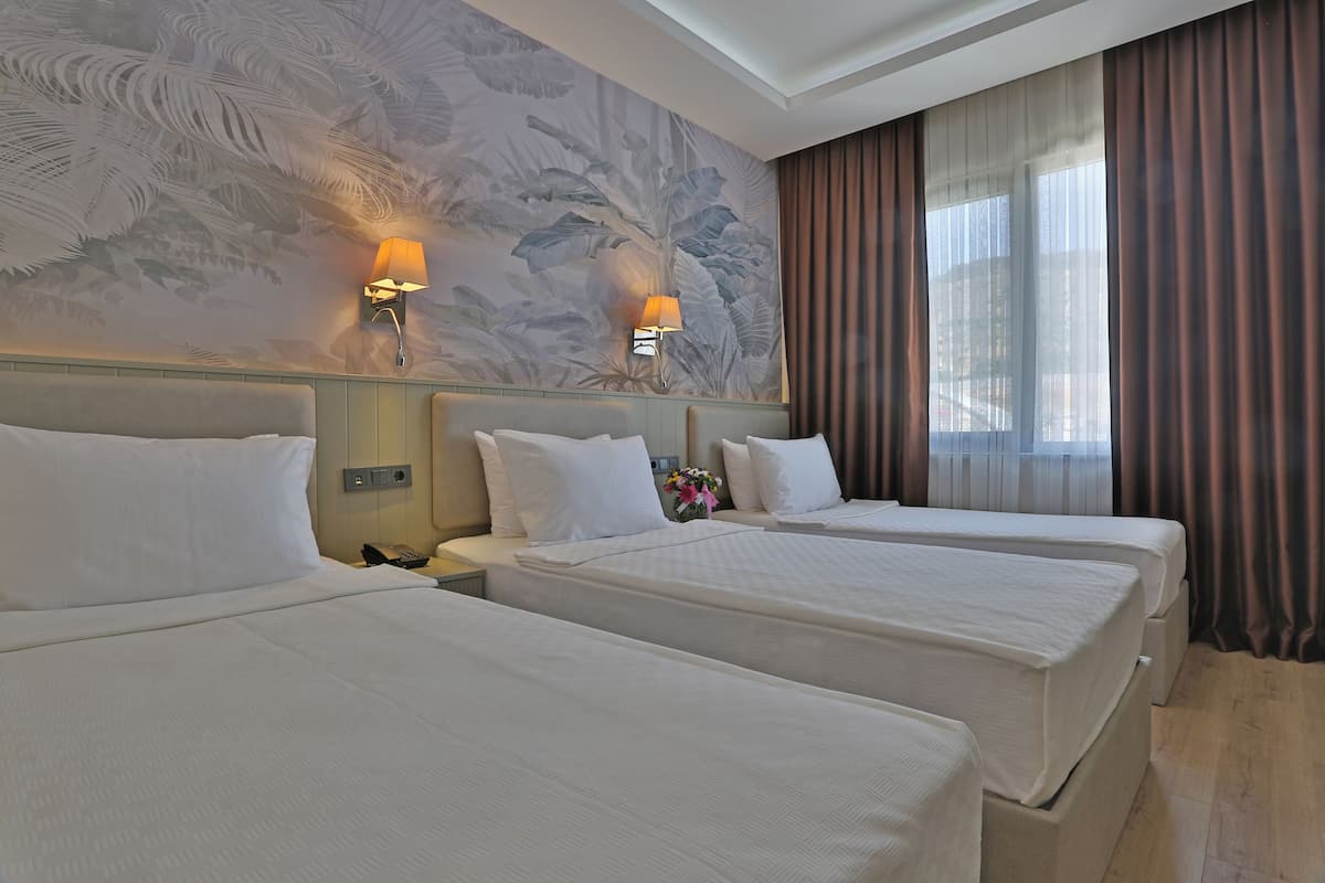 Minibar, soundproofing, iron/ironing board, WiFi (free)