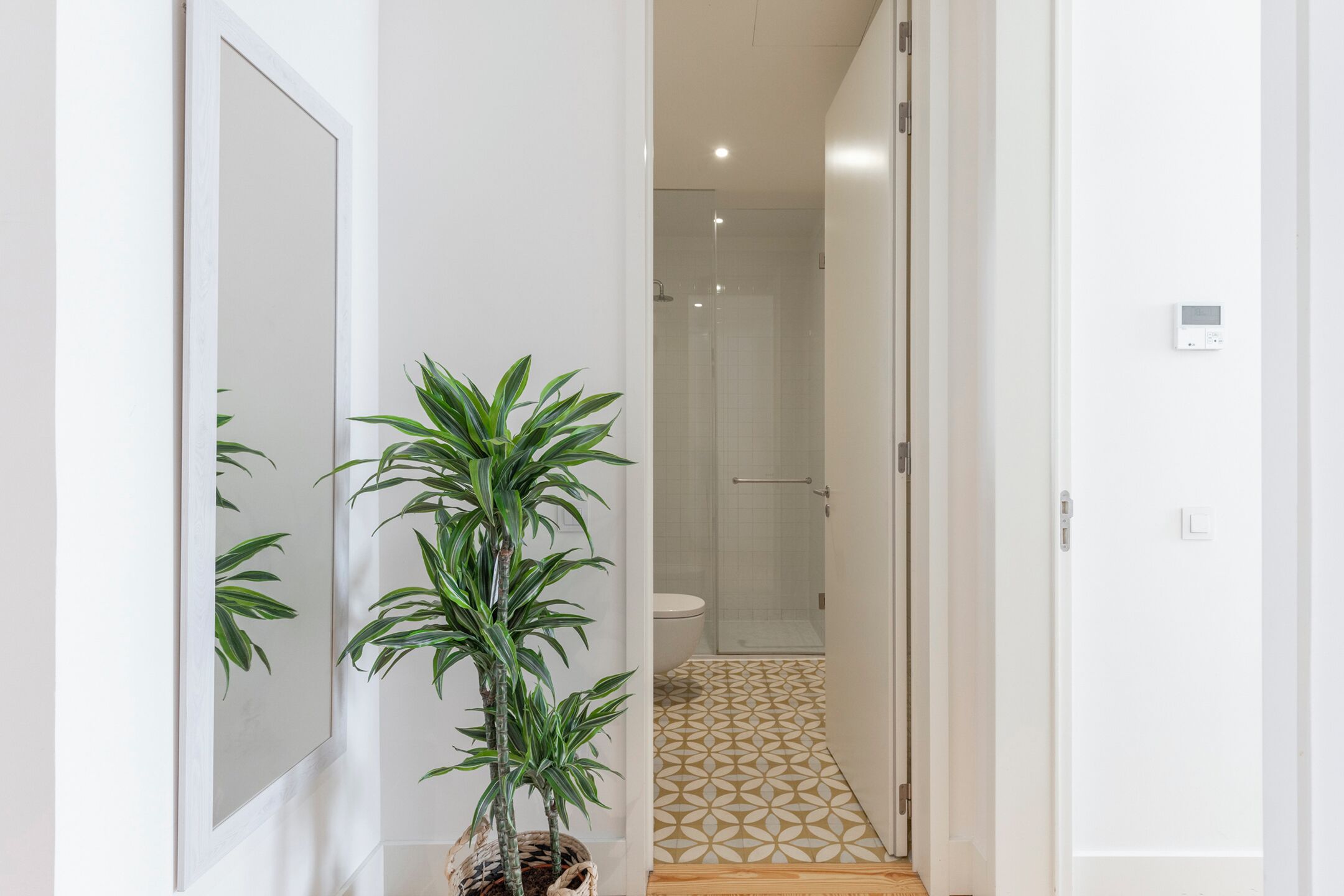 Un couloir avec une plante en pot, un miroir et une salle de bain dont le sol est décoré de motifs.