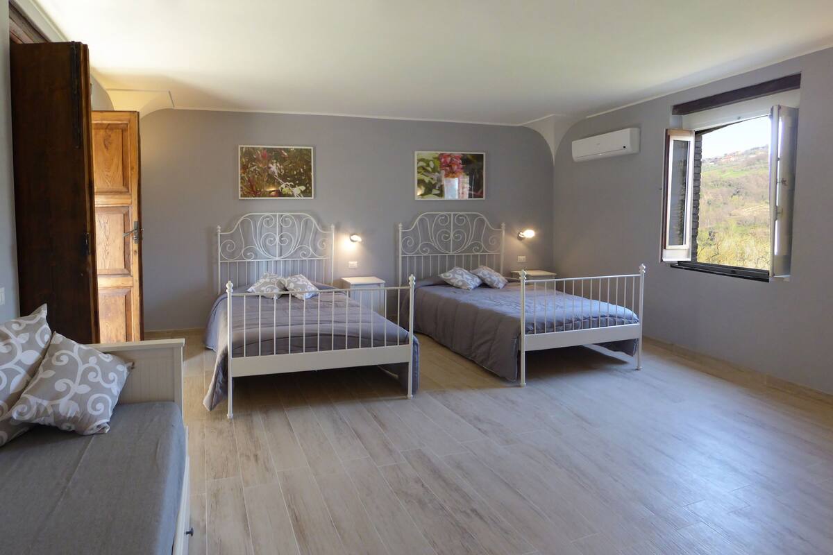 Une chambre avec deux lits, une porte en bois, une fenêtre et un climatiseur fixé au mur.