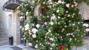 A building with a stone facade, a metal archway, and a potted plant with flowers. - Pietre di Fiume (San Giorgio del Sannio)