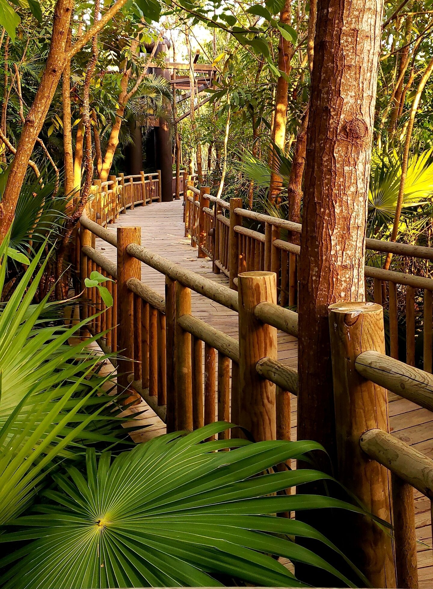 Àrea exterior de l'allotjament