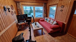 智能电视、DVD 播放器、乒乓球