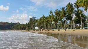 A beach with palm trees and a sandy shore. - Hotel Shreesh (Port Blair)