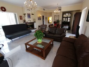 TV, fireplace, video games, DVD player