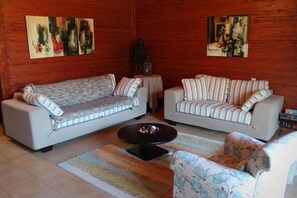 TV, fireplace - Villa Rustica (Konitsa)