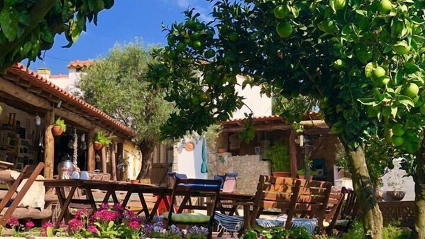 Un espace extérieur aménagé dans un style rustique, avec des jardinières en pierre et une pergola en bois.