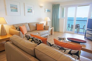 37-英寸液晶电视（配备卫星频道）、电视、游戏机