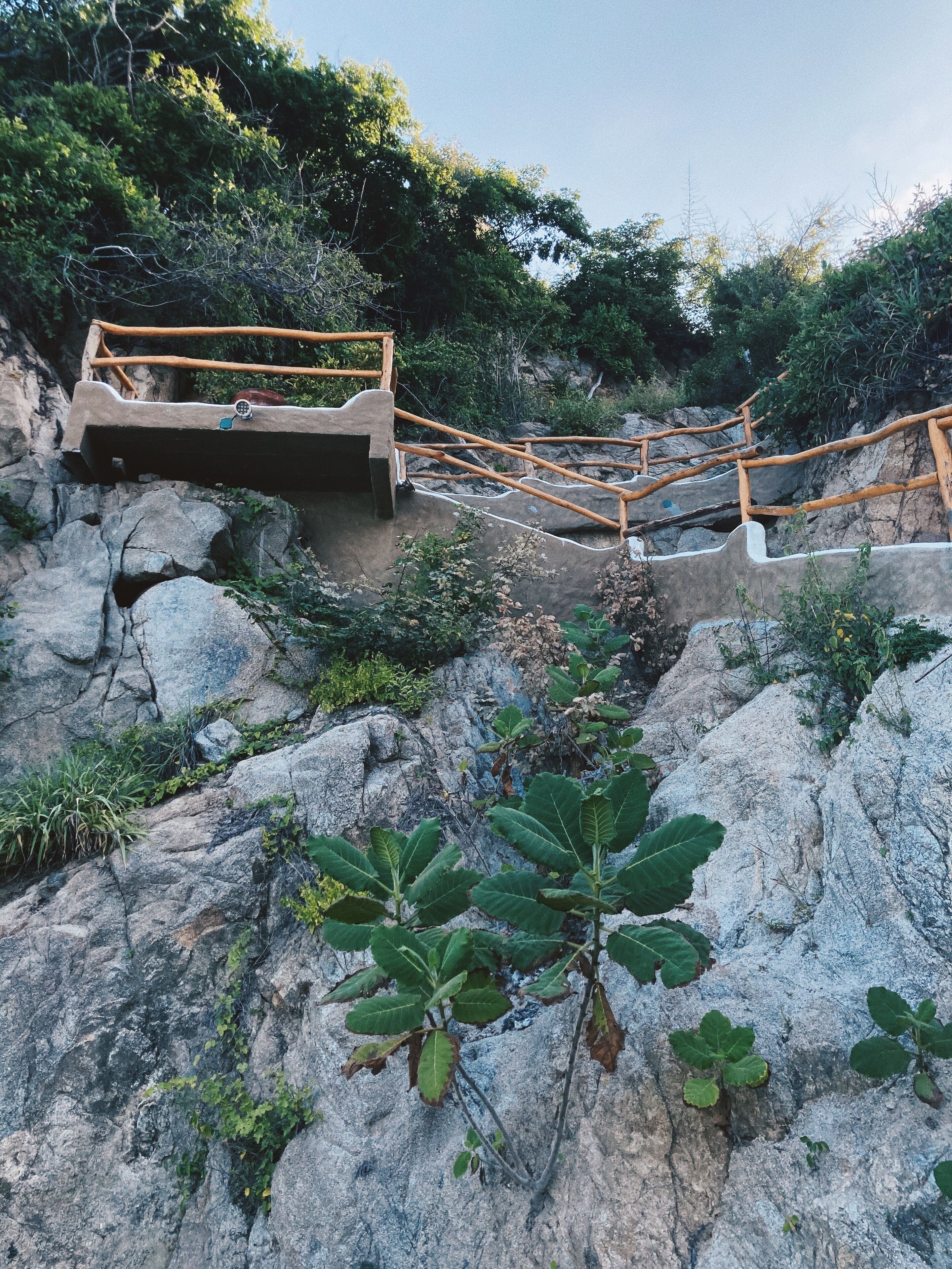 A rocky outdoor staircase with wooden railings leading up a hill, surrounded by greenery.