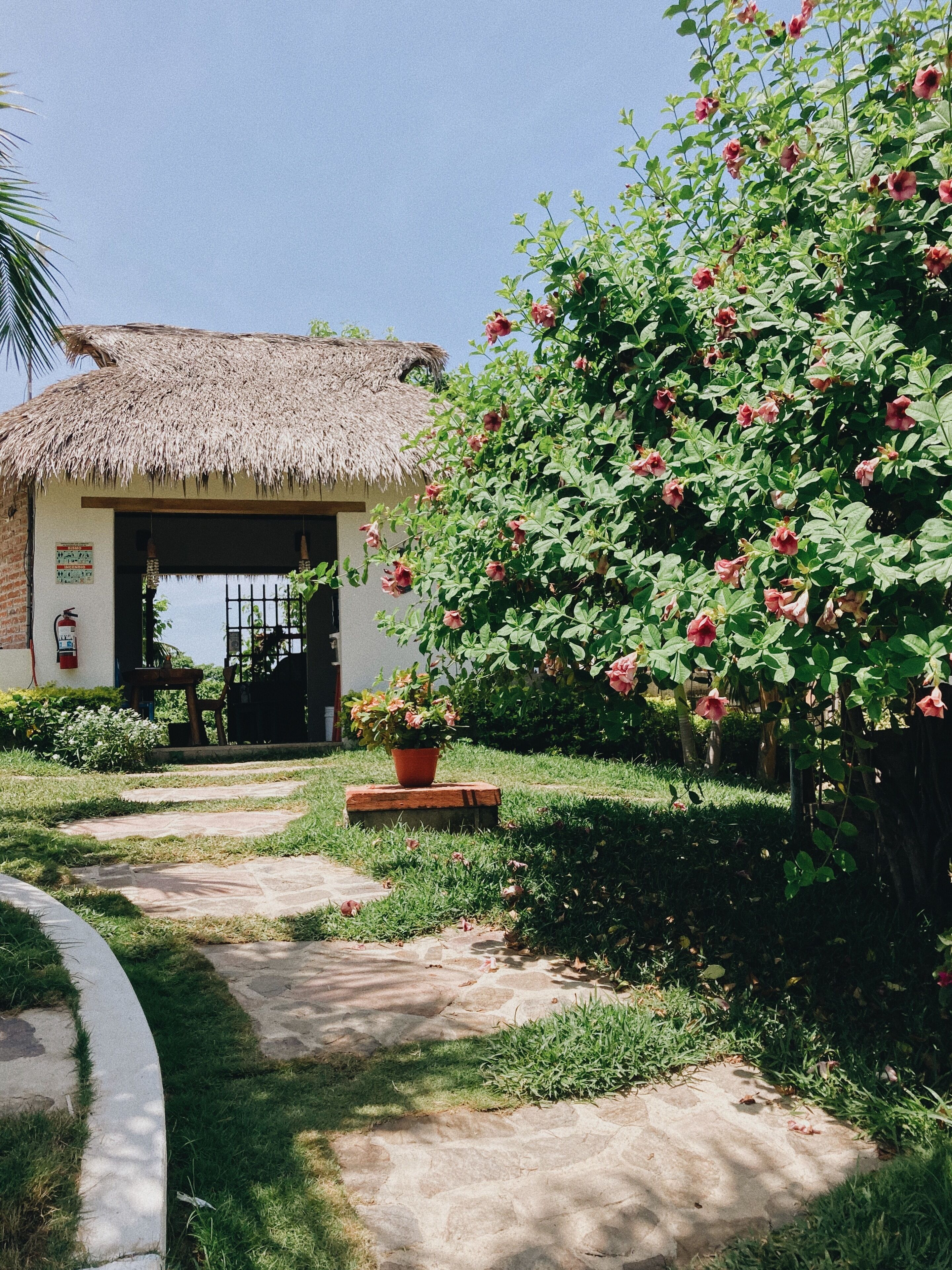 A thatched-roof building with a paved pathway leading to a door.
