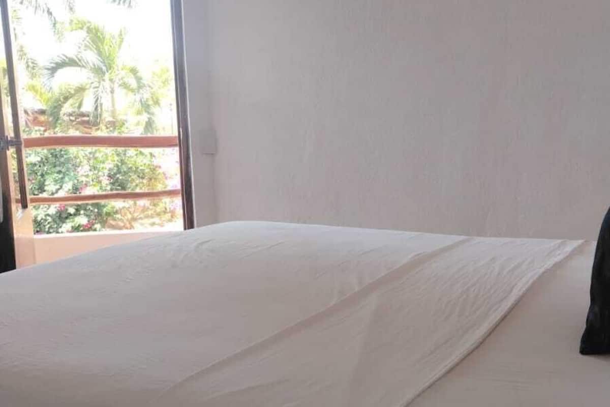 标准房 | 特色装修、特色家居、办公桌、笔记本电脑工作区