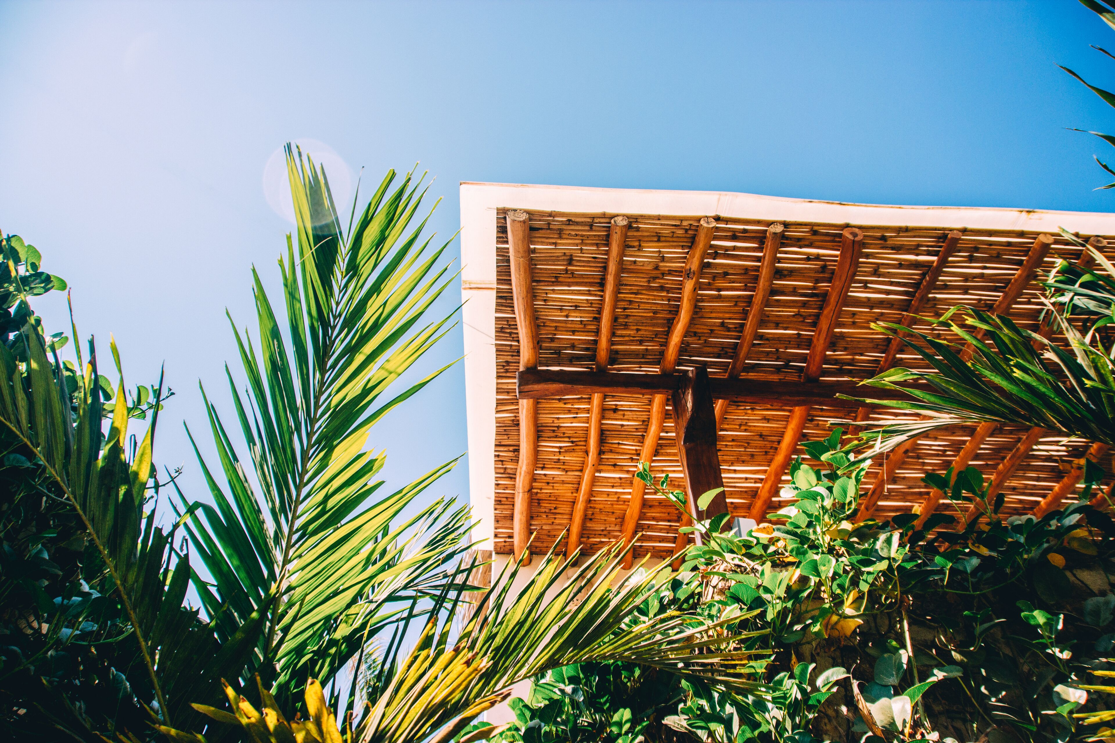 A building with a bamboo structure and lush greenery around it.