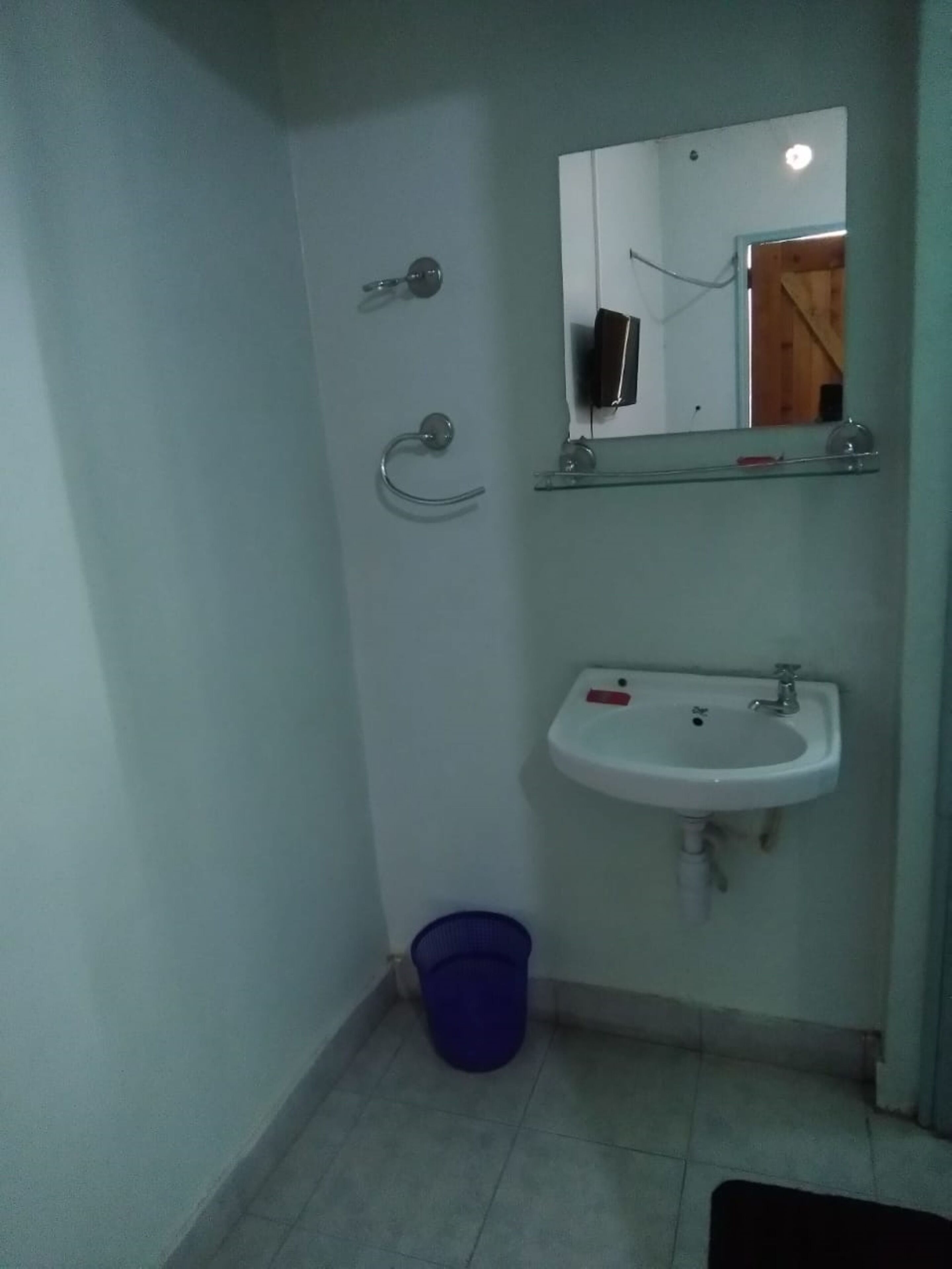 Un baño con un lavamanos blanco, un espejo encima, una zona de ducha y un cubo de basura azul.