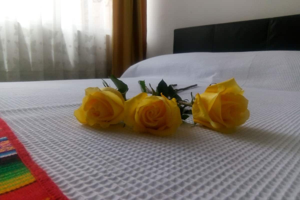 Desk, iron/ironing board, free WiFi, bed sheets