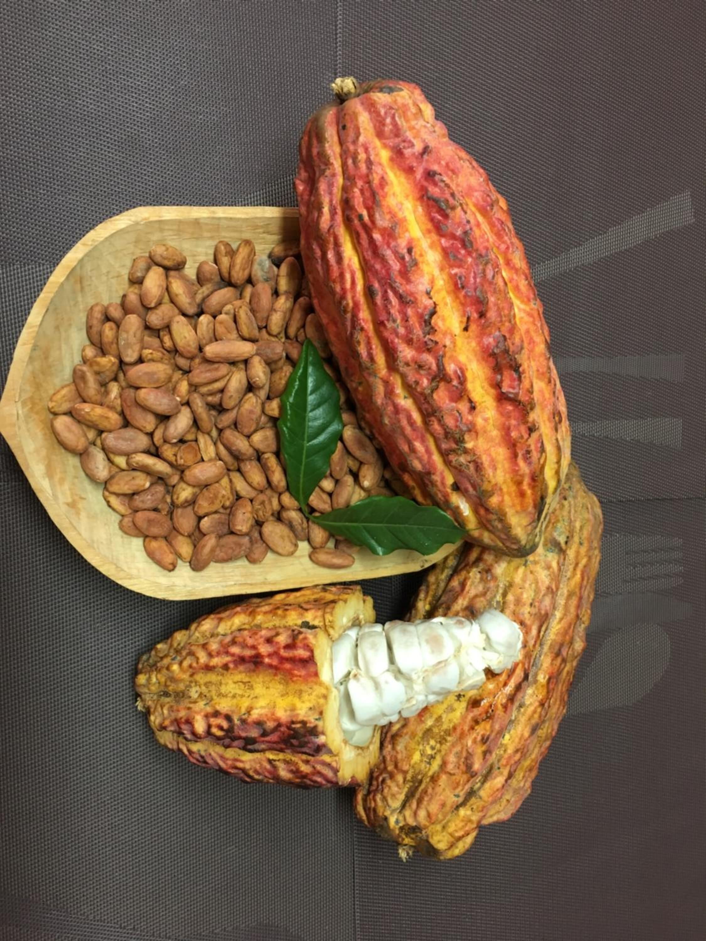 Foto - La Casa De La Nonna