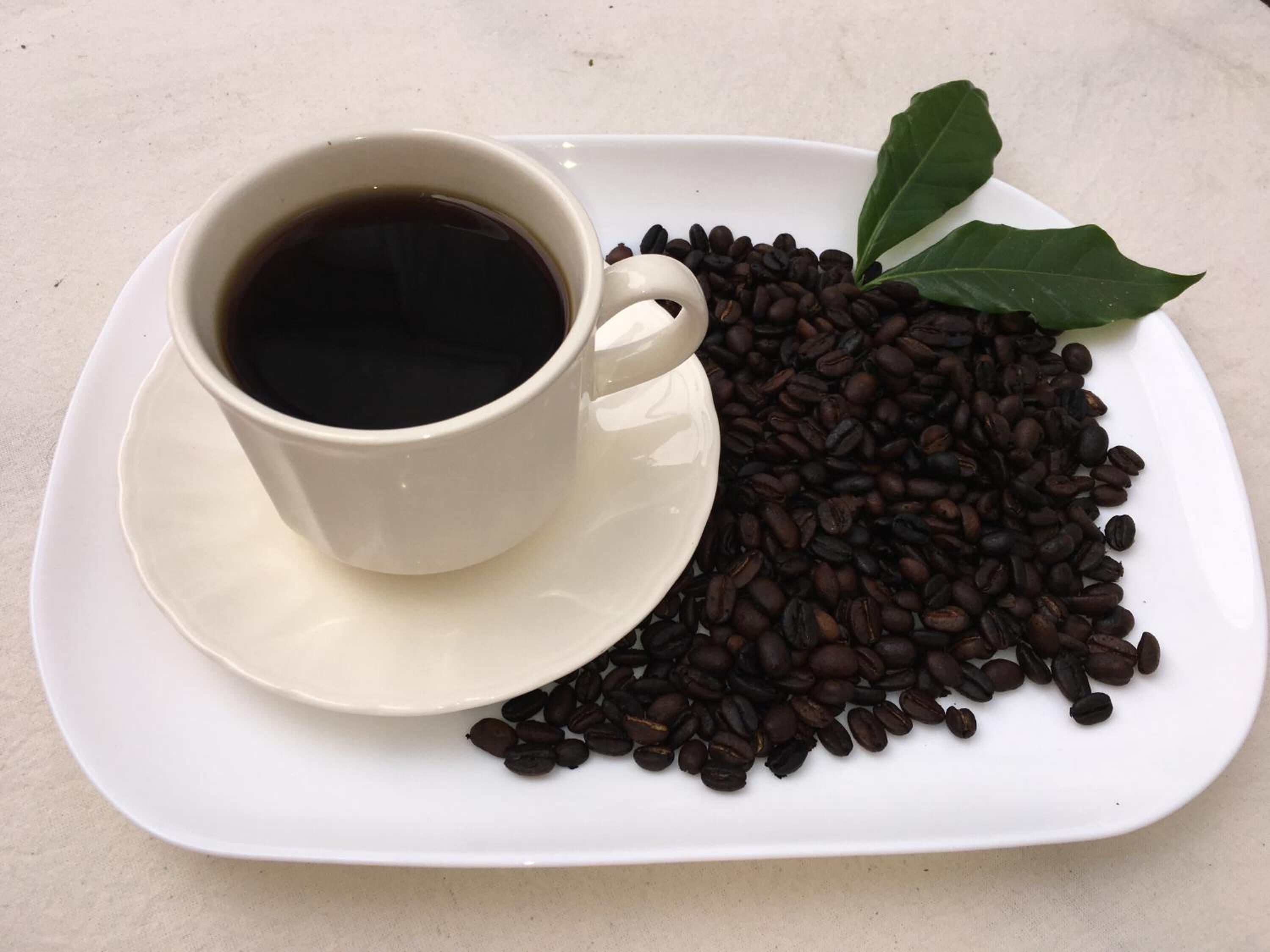 Foto - La Casa De La Nonna