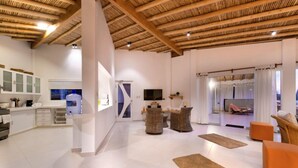 Un amplio salón con cocina, chimenea y televisión.