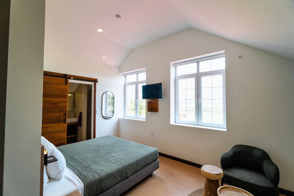 Un dormitorio con una cama, una silla, un televisor y dos ventanas.