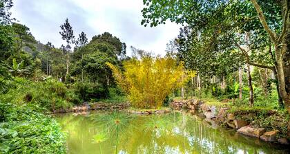 Shambala Yercaud