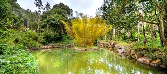 Shambala Yercaud
