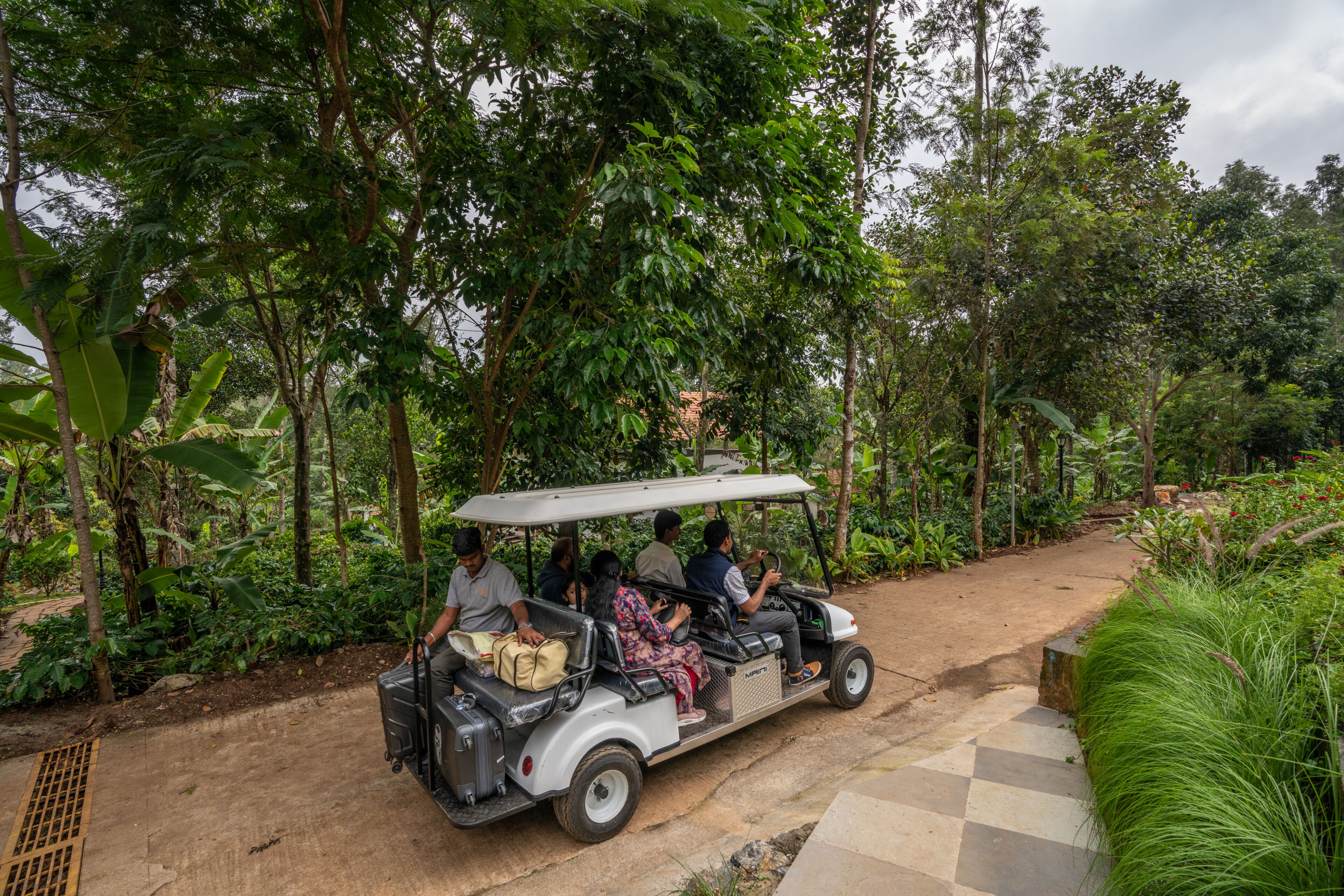 Golf cart