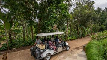 Golf cart