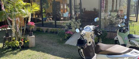A garden area with a scooter parked in front of a building with large windows.