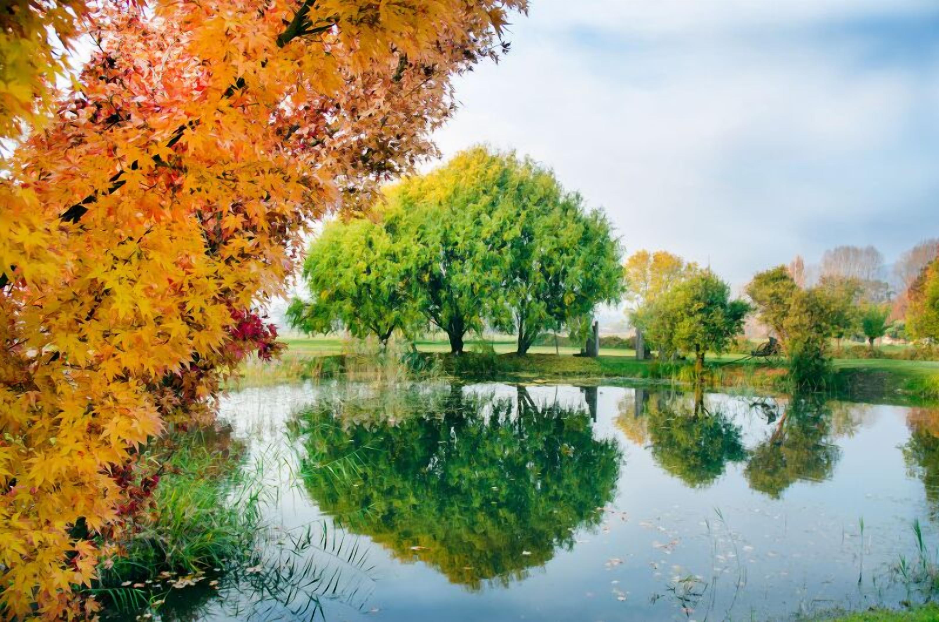 Un parque tranquilo con un estanque que refleja árboles de follaje otoñal.