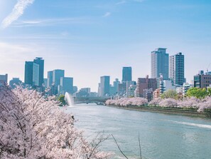 Une vue urbaine avec une rivière, des cerisiers en fleurs et des bâtiments modernes.