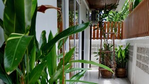 Un couloir étroit orné de plantes en pot, une échelle en bois et un tuyau d’arrosage posé sur le sol.