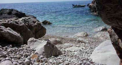Picic Guesthouse