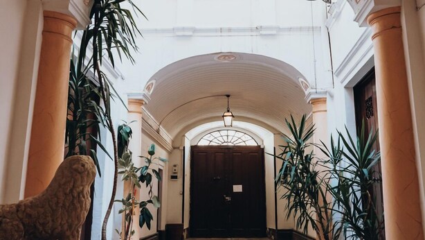 A grand hallway with a red carpet, flanked by columns and potted plants, leading to a dark door. - Casa D'Angiò (Manfredonia)
