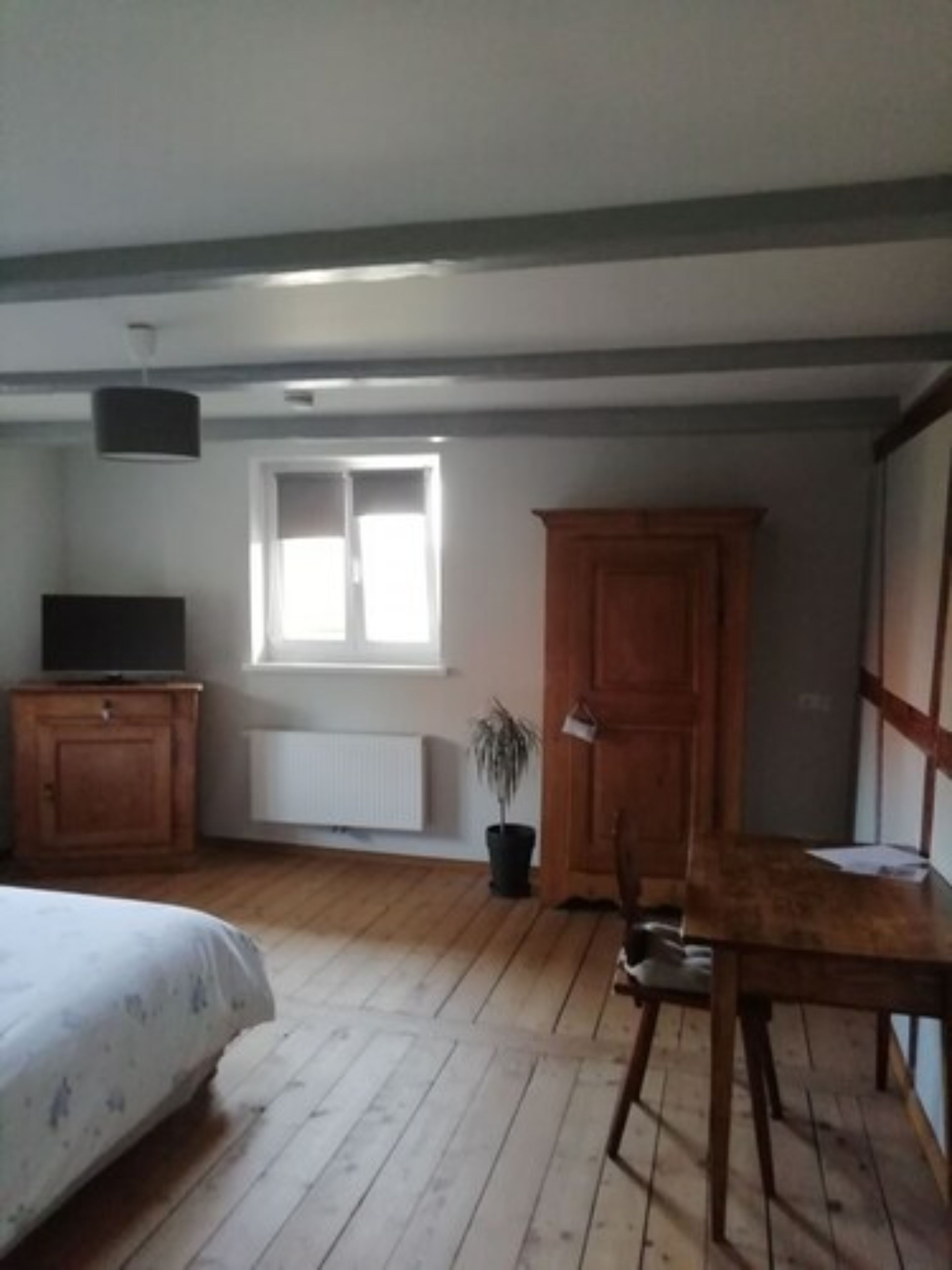 A room with a bed, wooden cabinets, a desk, a potted plant, and a window.