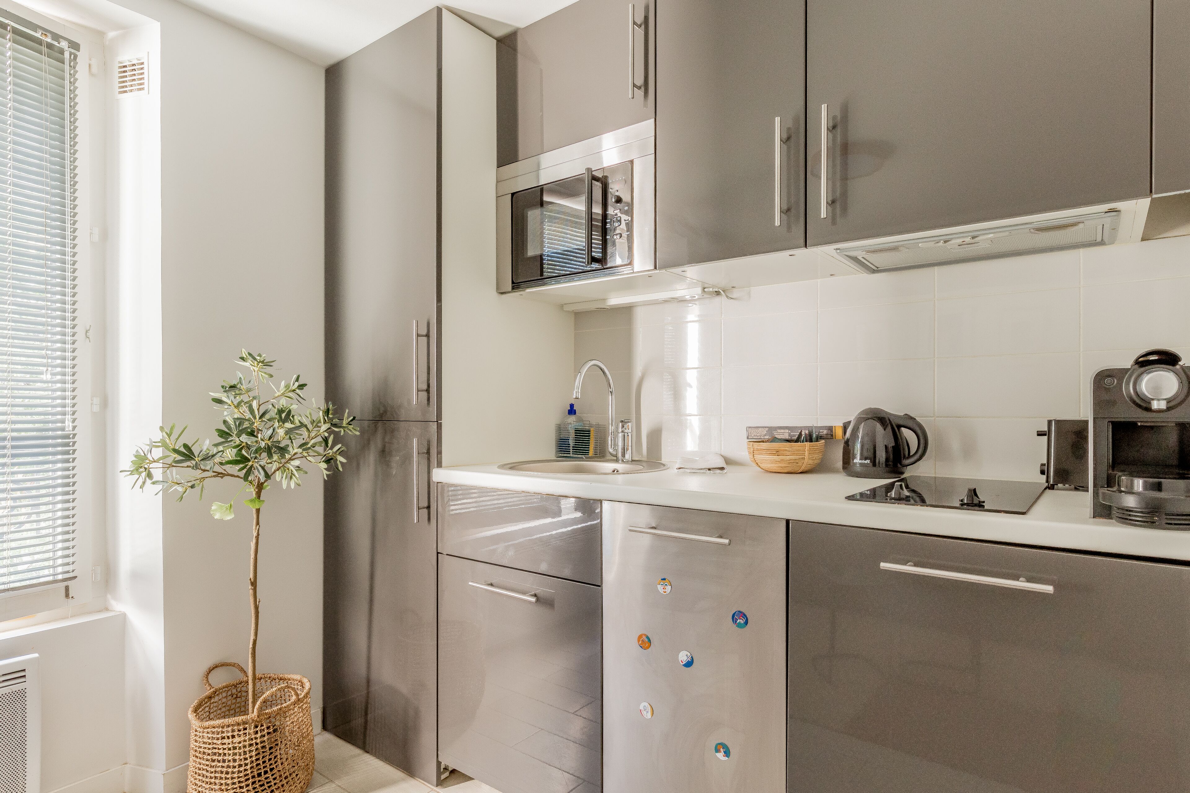 Une cuisine moderne dotée d’appareils électroménagers en acier inoxydable, d’un plan de travail blanc et d’une petite plante en pot.