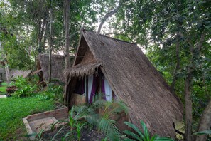 Une hutte au toit de chaume, entourée d’une végétation luxuriante.