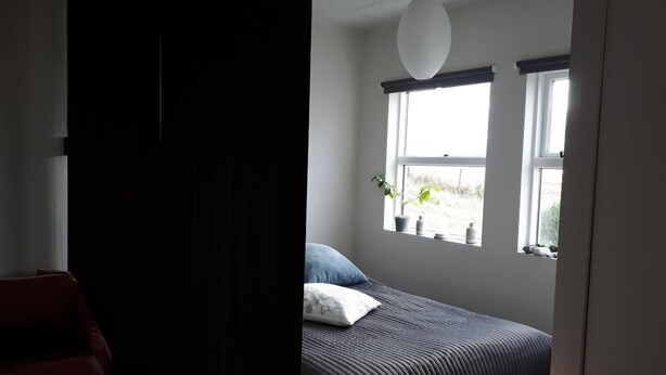 Ein Schlafzimmer mit einem Bett, zwei Fenstern, einer Topfpflanze und einer Pendelleuchte.