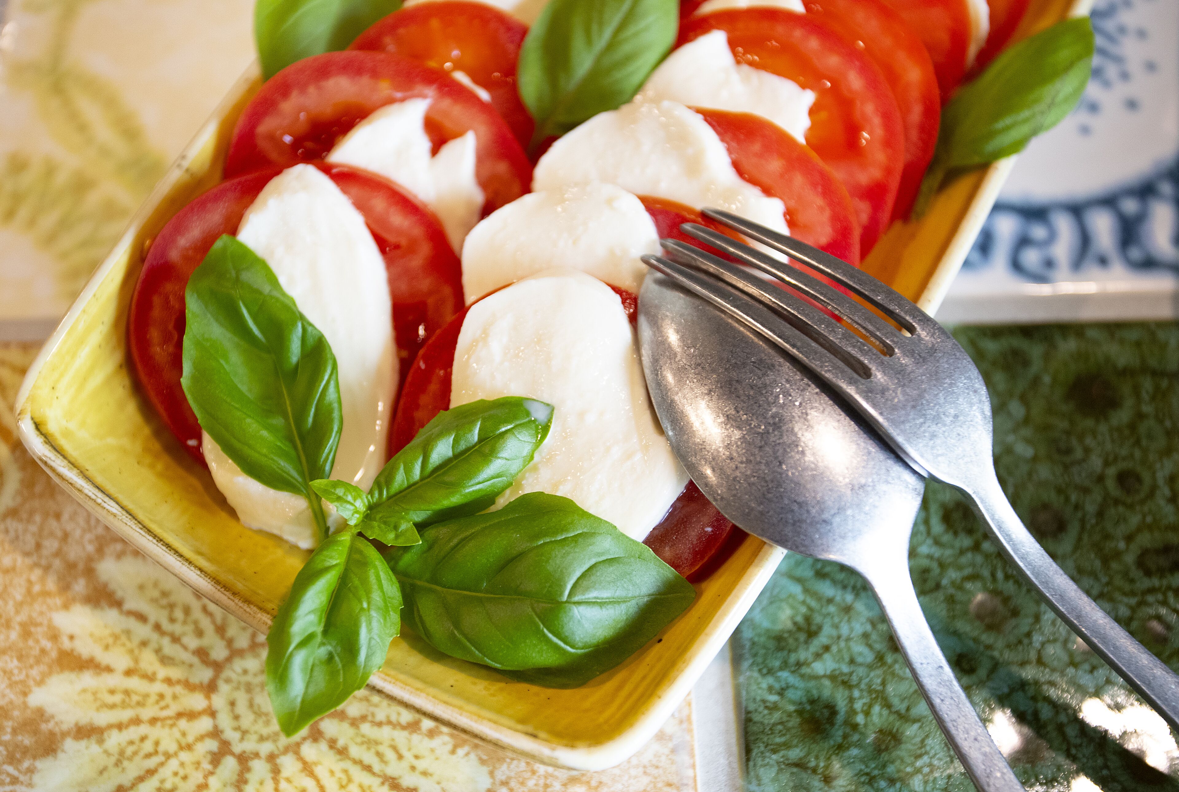 A dish of fresh tomatoes, mozzarella, and basil on a ceramic plate.