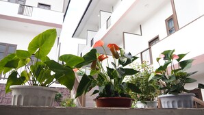 Un edificio moderno con varios balcones y plantas en macetas.