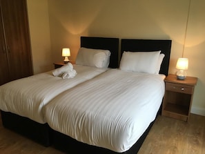 Iron/ironing board, bed sheets
