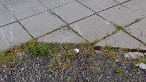 En hörnbildning med en mörk dörr och stora glasfönster.