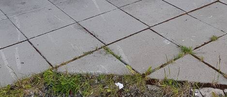 Vista frontal de la propiedad