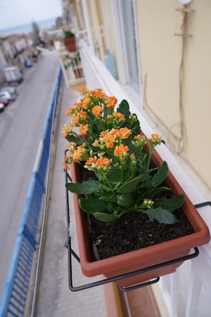 A balcony with a potted plant of orange flowers. - B&B Nodo Francescano (Porto Empedocle)